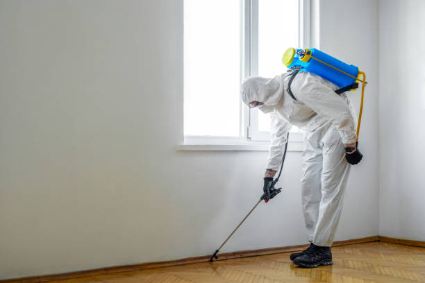 Pest Prevention Services in Gordon, PA