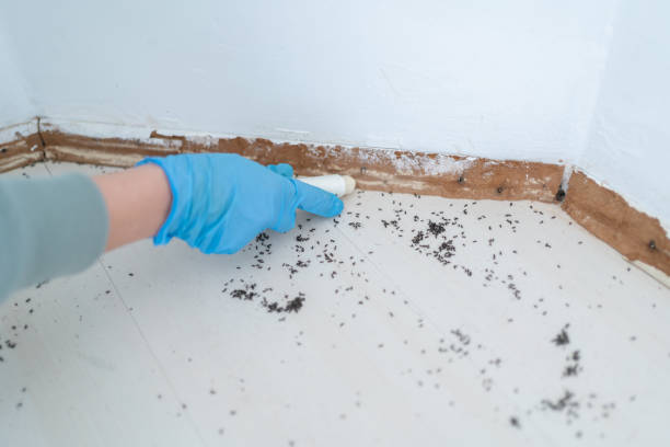 Best Pest Removal Services  in Gordon, PA