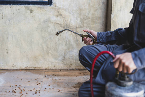 Best Emergency Pest Control  in Gordon, PA